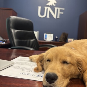 Fundraising Page: Andrea Jones